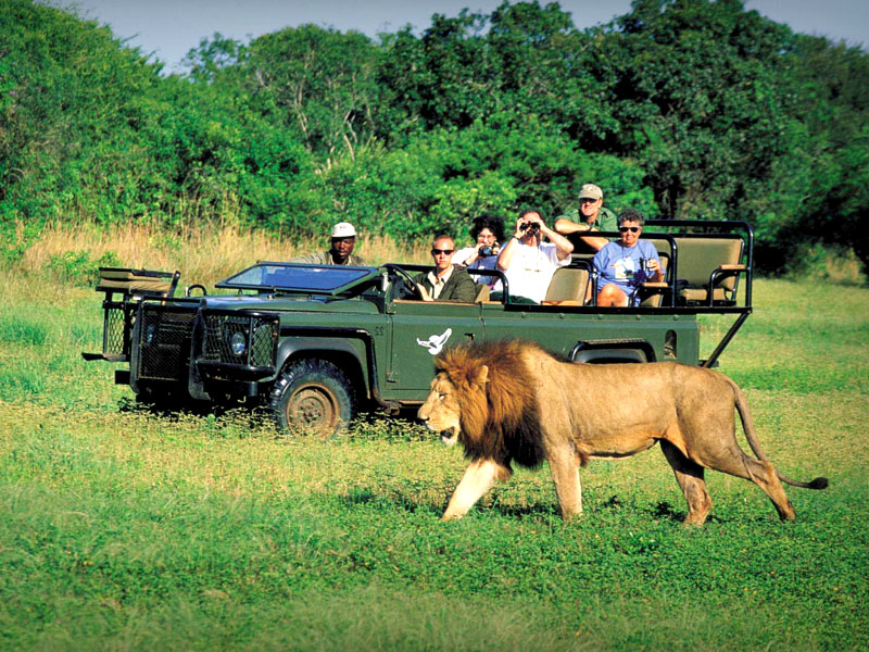 South Africa (Johannesburg & Sun City)